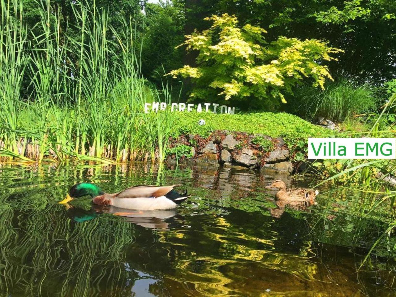 Luxury Family Holidays Villa In Emsdetten Munster エクステリア 写真
