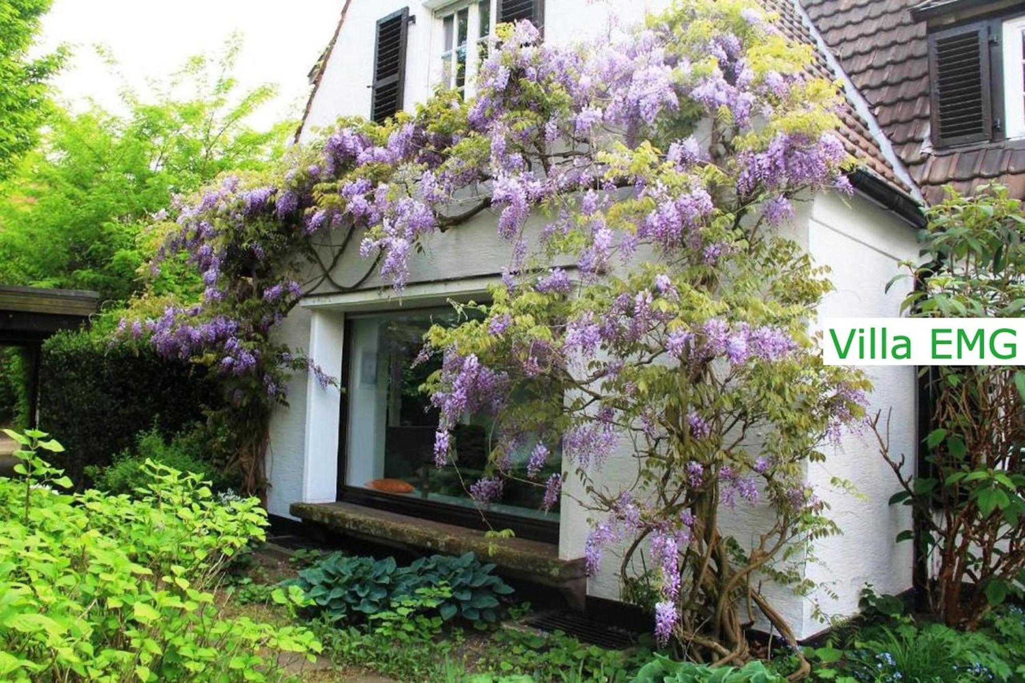 Luxury Family Holidays Villa In Emsdetten Munster エクステリア 写真
