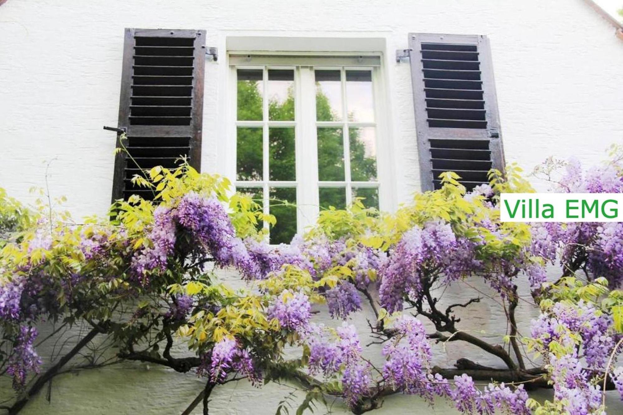 Luxury Family Holidays Villa In Emsdetten Munster エクステリア 写真